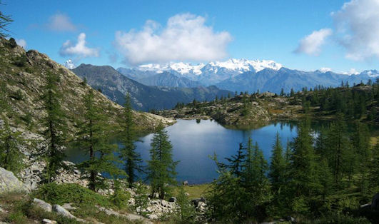 Panorama - Parco Naturale del Monte Avic