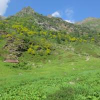 rifugio_tagliaferri_2018_014