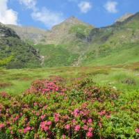 rifugio_tagliaferri_2018_016