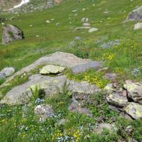 rifugio_tagliaferri_2018_026