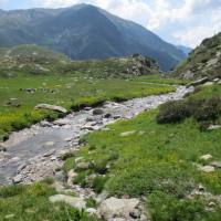rifugio_tagliaferri_2018_030