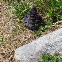 rifugio_tagliaferri_2018_033