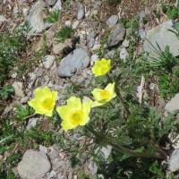 rifugio_tagliaferri_2018_036