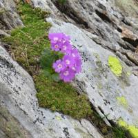 rifugio_tagliaferri_2018_056