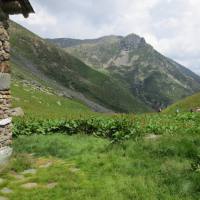rifugio_tagliaferri_2018_067