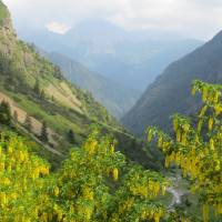 rifugio_tagliaferri_2018_071
