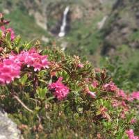 rifugio_tagliaferri_2018_073
