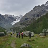 torrione_porro_2018_000