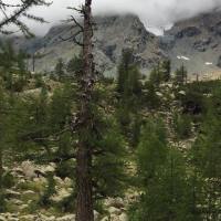 torrione_porro_2018_029