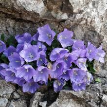 ferrata_minonzio_008