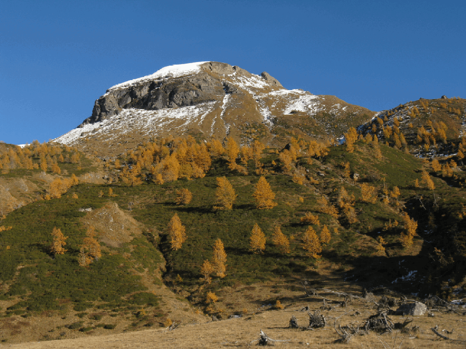 Monte Cobernas - Alpe Devero