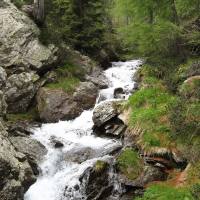 Lago_Nero_Verde_Lavazza_03