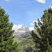 pizzini_06
