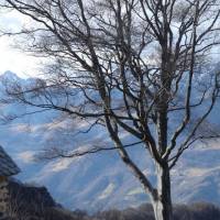 rifugio_buzzoni_01