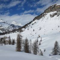 val_di_fex_46