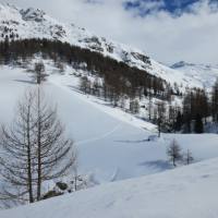 val_di_fex_54