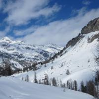 val_di_fex_83