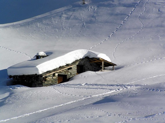 Alpe prabello - Alpe Acquanera