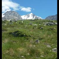 gran_paradiso_072