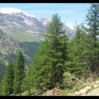 gran_paradiso_075