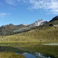 laghi_porcile_005