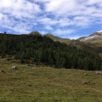 laghi_porcile_035