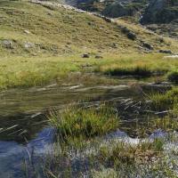 laghi_porcile_048