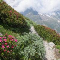 rifugio_zamboni_2018_057