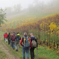 langhe_008