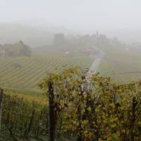 langhe_013