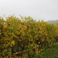 langhe_014