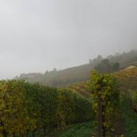 langhe_015