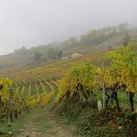 langhe_017