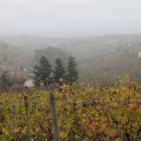 langhe_020