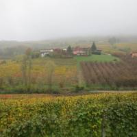 langhe_023