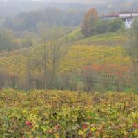 langhe_024