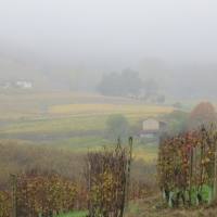 langhe_027