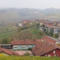 langhe_041