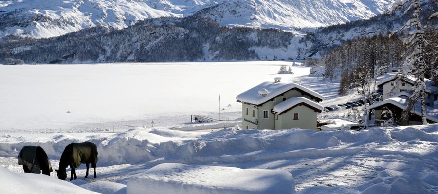 Ciaspolata in Engadina