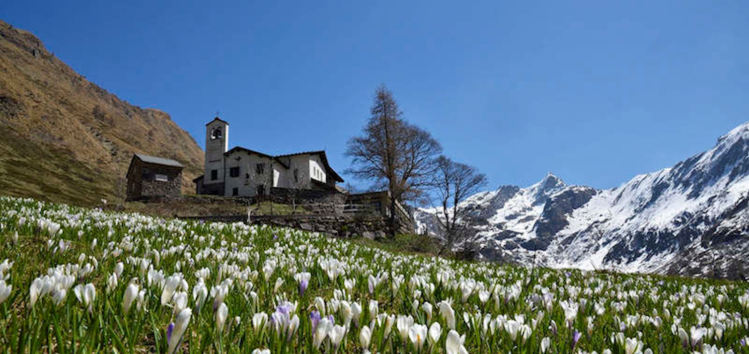 Rifugio Dino Tavecchia