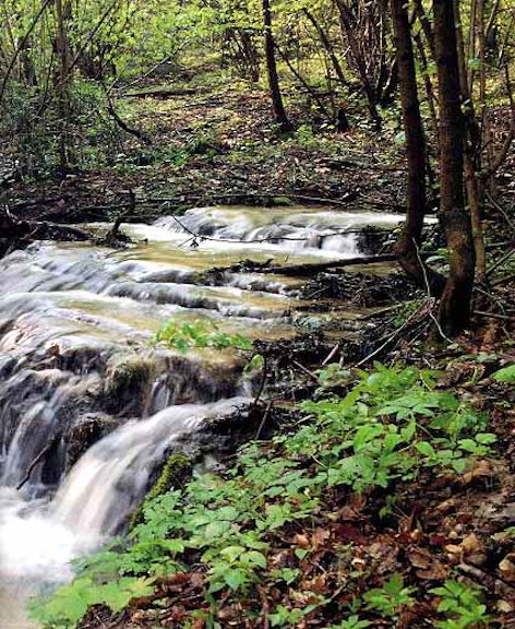 Torrente Curone