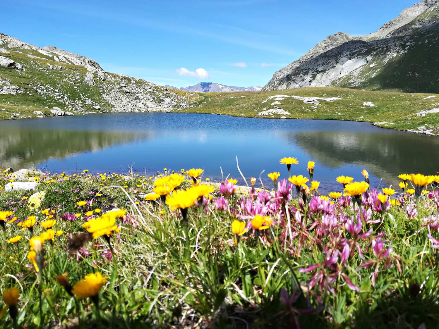 Panorama sul Lago al Passo Baldiscio