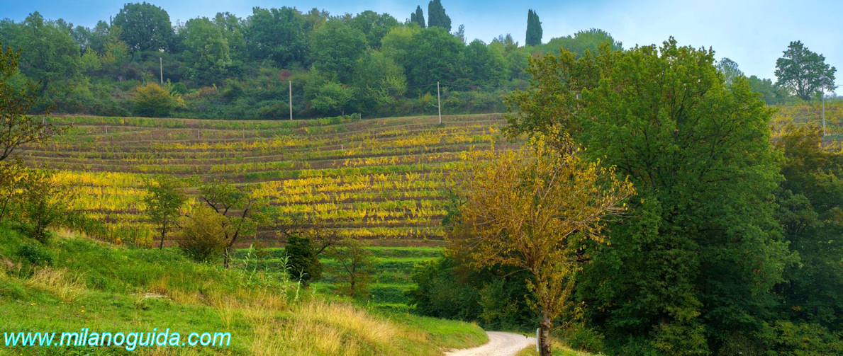 Vista sul parco del Curone di Montevecchia