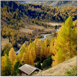 Foliage in Valtellina