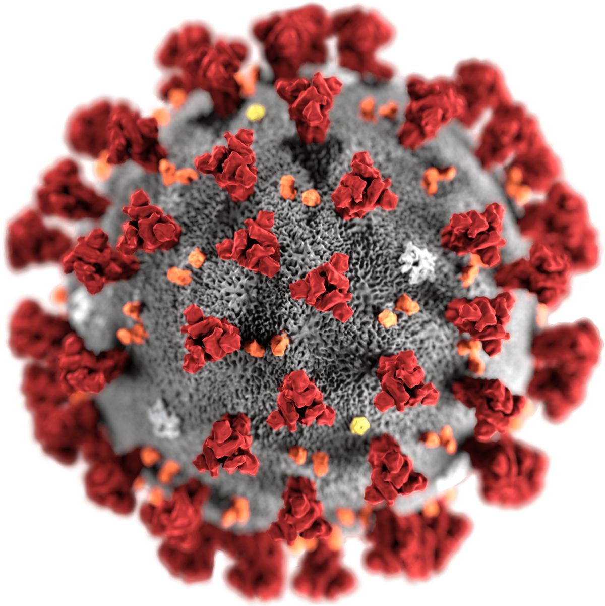 Coronavirus