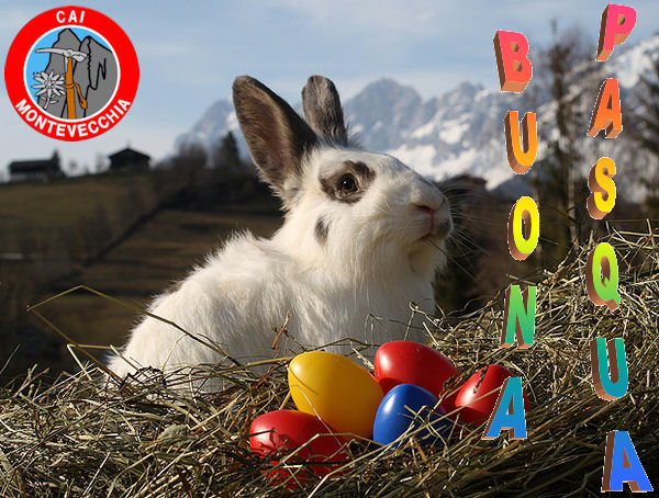 pasqua 2016